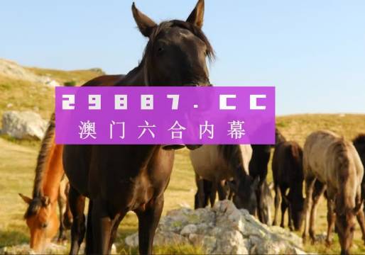 澳门管家婆一肖一码一中一全面释义、全面解答解释落实