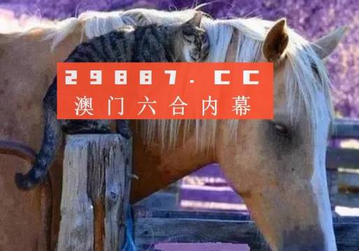 4949开奖免费资料澳门仔细释义、解释与落实、实时解答解释落实